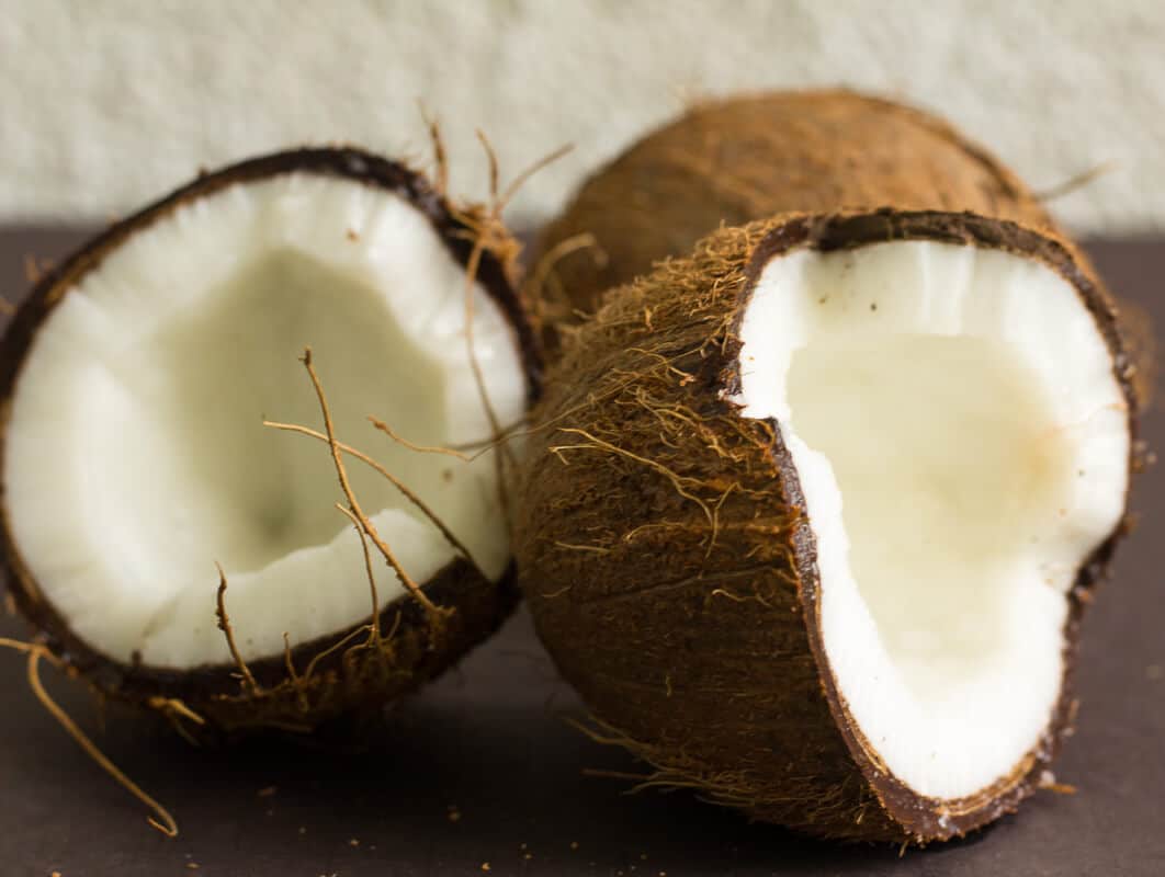 An easy step by step guide for making coconut milk from a fresh dry coconut just like we do it in the Caribbean. Two dry brown coconuts split open showing white coconut meat.