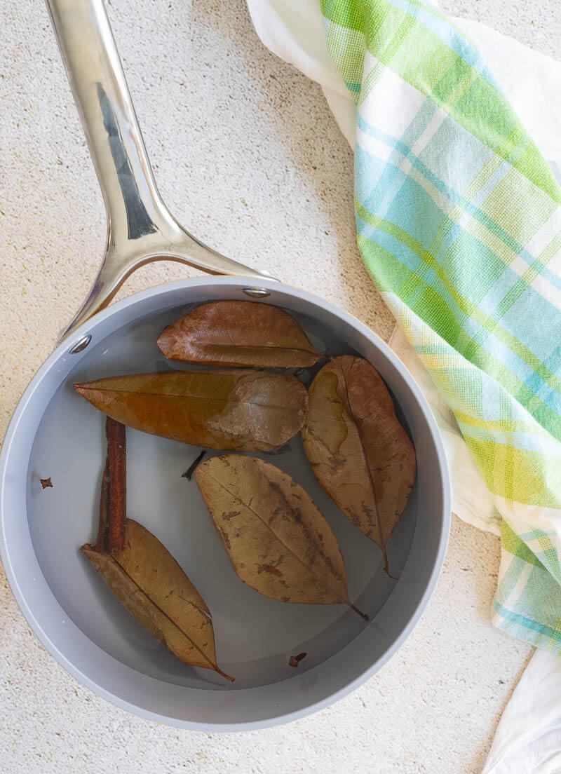 Bay leaf, clove, cinnamon simmering in hot boiling water.