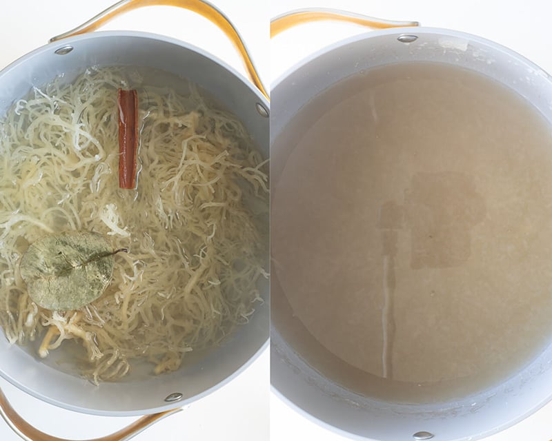 Sea moss before it