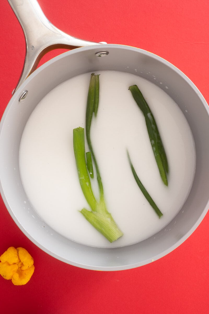 A pot of coconut milk with scallion on top of a red counter top.