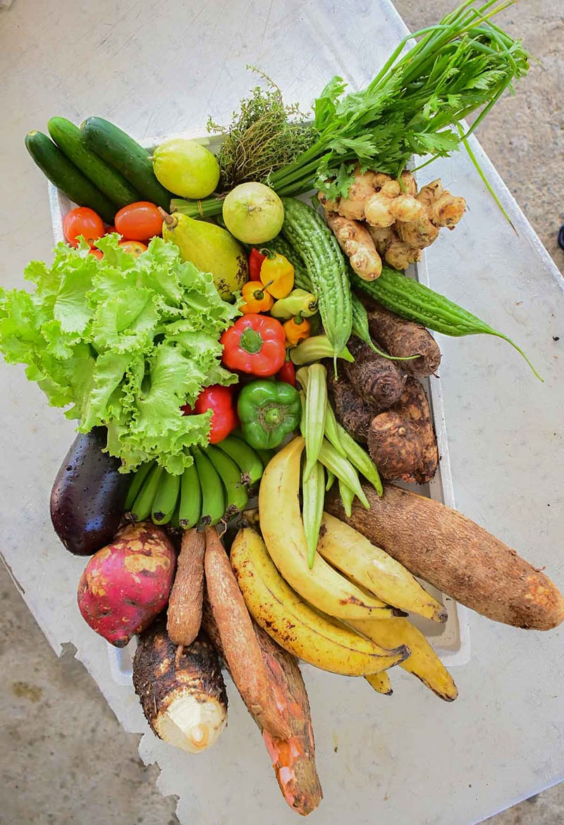 A container filled with assorted ground provisions like yam, cassava, and sweet potato.