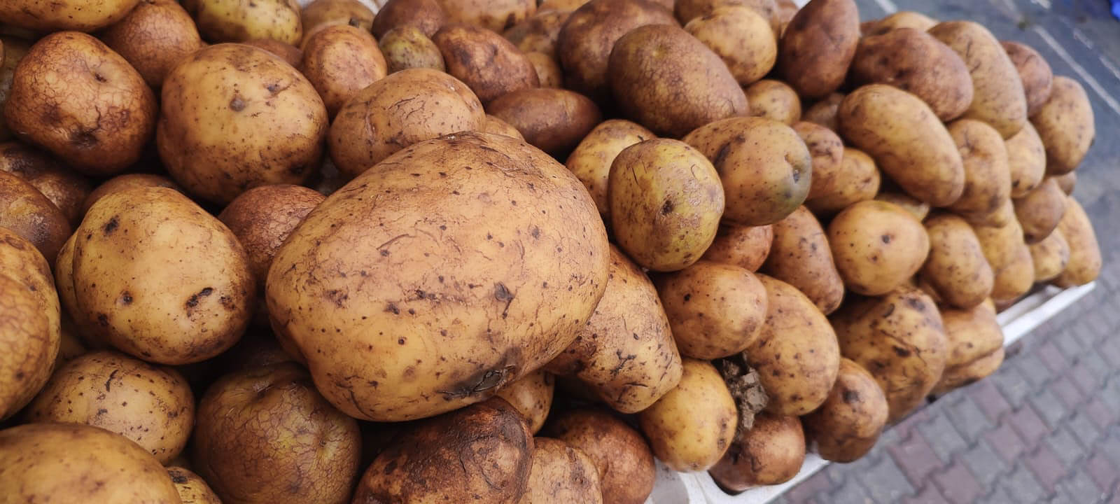A collection of Irish potatoes at a close up range.