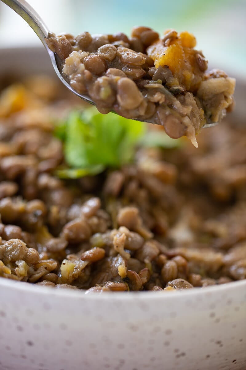 A spoon full of stewed lentils hanging over a full bowl of lentils.