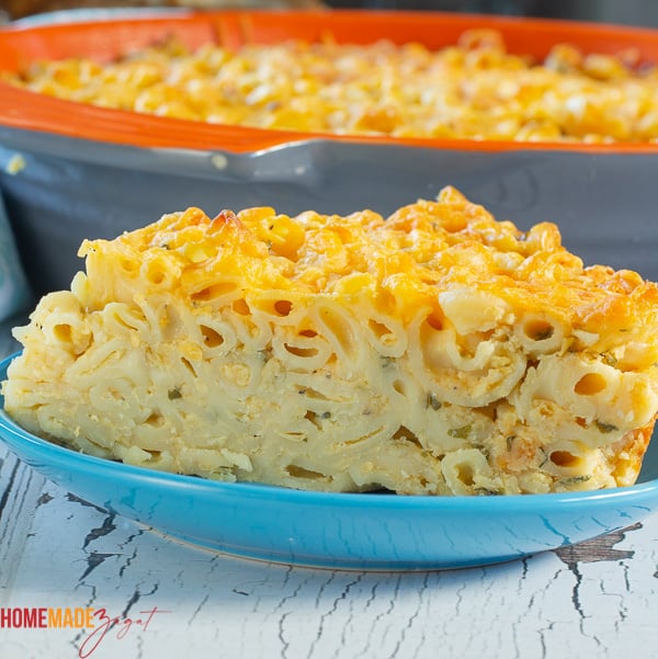 Baked macaroni pie, sliced and seeing the break down of the macaroni.