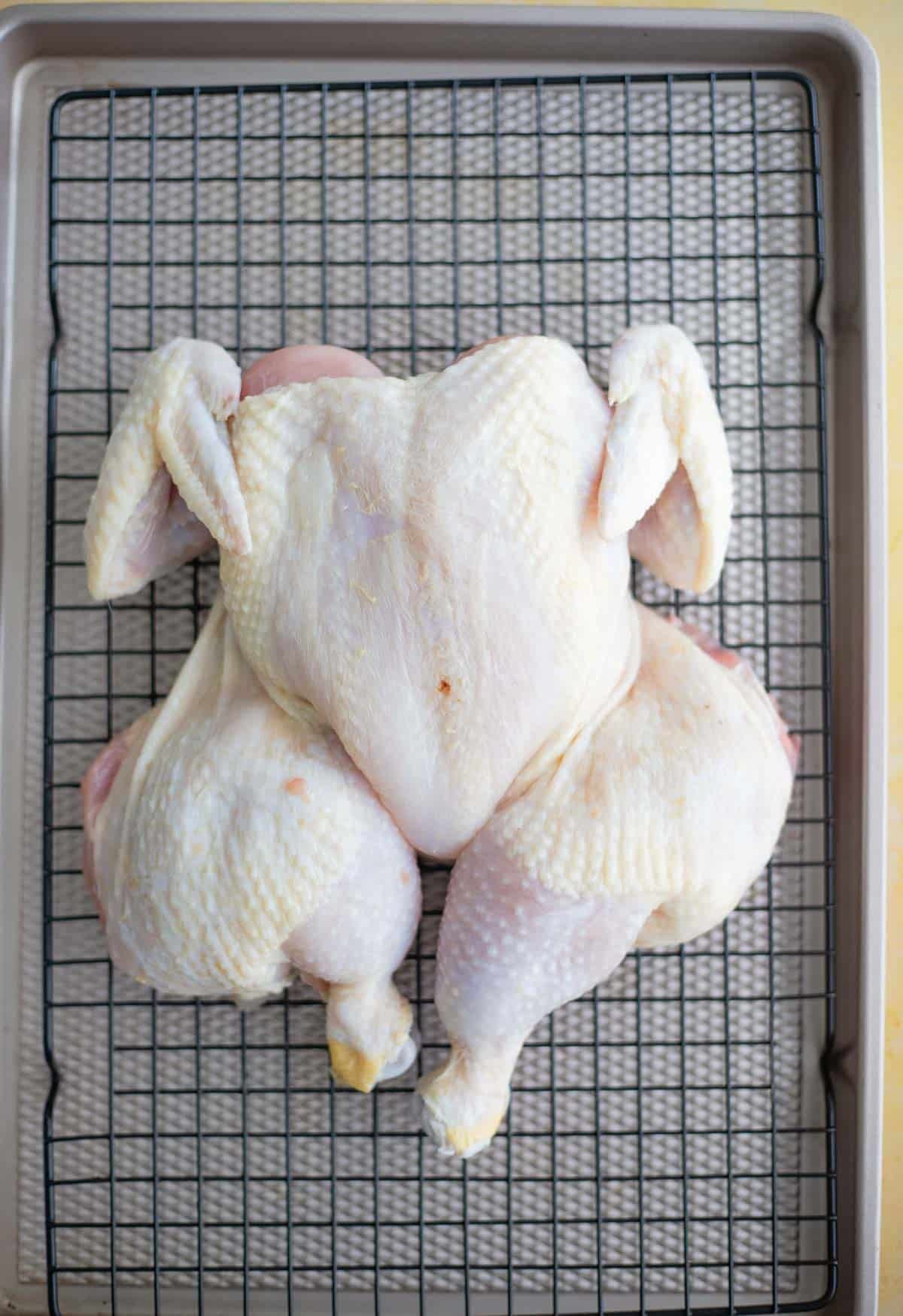Raw whole chicken with the backbone removed and flattened, ready for jerk seasoning