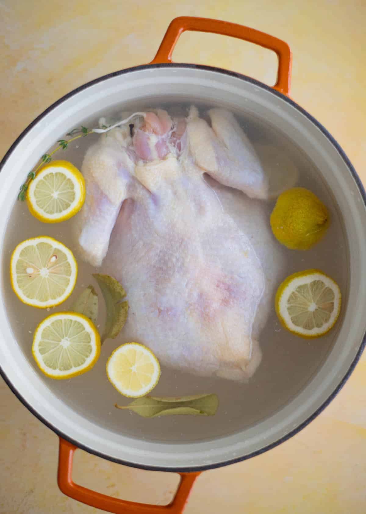 Whole chicken submerged in a brine with lemons, thyme, bay leaves, and pimento seeds.