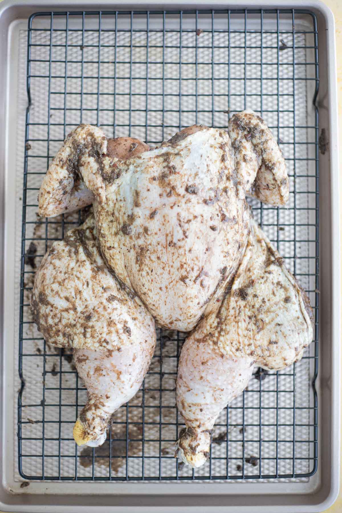 Spatchcocked whole chicken coated with wet jerk seasoning and olive oil before marinating overnight.